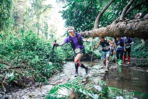 BIB: 
                            <button type="button" onclick="openModal(25452079)" class="btn btn-primary btn-sm float-right btn-popup" data-toggle="modal" data-target=".modal-high-quality">
                        <i class="fas fa-shopping-cart"></i> Add to Cart
                    </button>
                                            <button type="button" onclick="isThisMe(25452079, true)" class="btn btn-success btn-sm float-right btn-popup btn-isme hidden" data-toggle="tooltip" data-placement="bottom" title="นี่คือรูปของคุณใช่ไหม คลิกที่นี่เพื่อเอาเข้าอัลบั้ม">
                        <i class="fas fa-plus"></i> Add to album
                    </button>
                    <button type="button" onclick="isThisMe(25452079, false)" class="btn btn-warning btn-sm float-right btn-popup btn-isnotme hidden">
                        <i class="fas fa-ban"></i> Remove from album
                    </button>